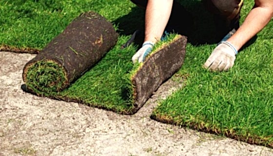 Cunda Otel Peyzaj Tasarımı